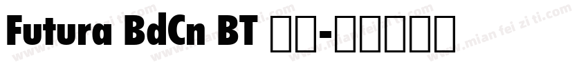 Futura BdCn BT 普通字体转换